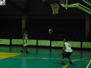 Basket 2009-105