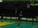 Basket 2009-106