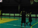 Basket 2009-108
