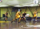 Basket 2009-10