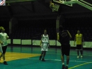 Basket 2009-113