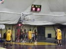 Basket 2009-13