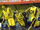 Basket 2009-15