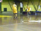 Basket 2009-20