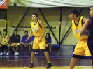 Basket 2009-22