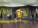 Basket 2009-24