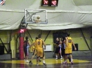 Basket 2009-27