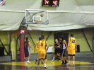Basket 2009-28