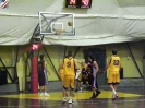 Basket 2009-29