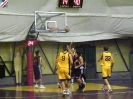 Basket 2009-30