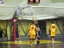 Basket 2009-31