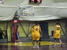 Basket 2009-32