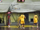 Basket 2009-33