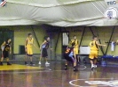 Basket 2009-36