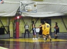 Basket 2009-37
