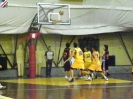 Basket 2009-38