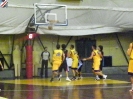 Basket 2009-40