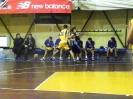 Basket 2009-45