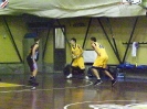 Basket 2009-49