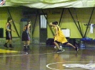 Basket 2009-50
