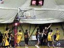 Basket 2009-65