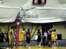 Basket 2009-66