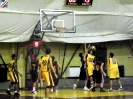 Basket 2009-70