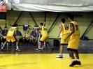 Basket 2009-72