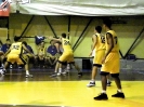 Basket 2009-73