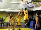 Basket 2009-77