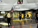 Basket 2009-81