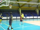 Basket 2009-96