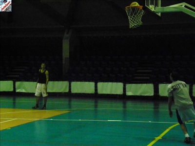 Basket 2009-104