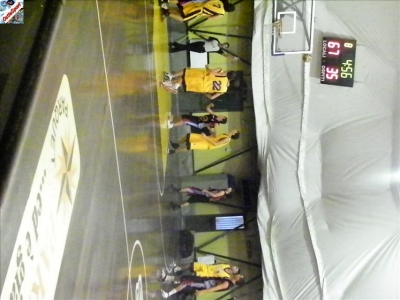 Basket 2009-8