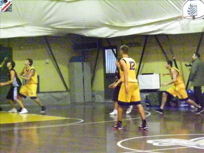 Basket 2009-21