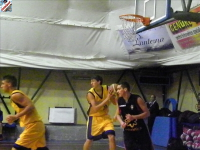 Basket 2009-44