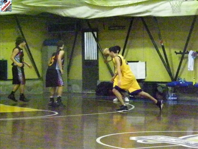 Basket 2009-50