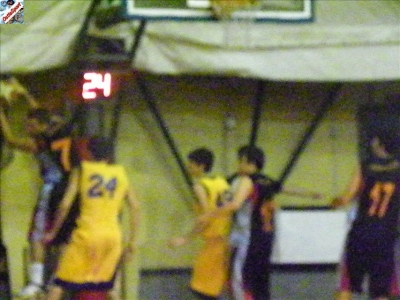 Basket 2009-60