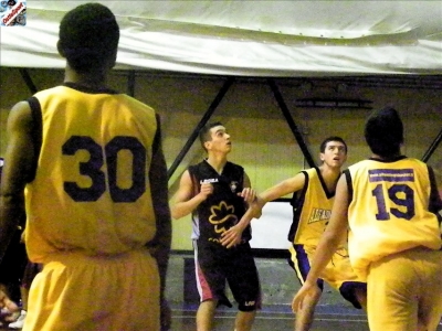 Basket 2009-64